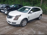 Cadillac Srx Luxury Collection 3GYFNDEY8BS542793 снимка