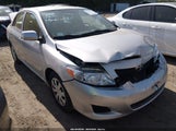 Toyota Corolla Le 2T1BU4EE2AC325944 fotografie