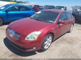 Nissan Maxima 3.5 Se 1N4BA41E25C809907 photo