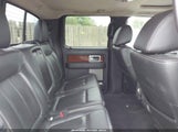 Ford F-150 Fx4/Harley-Davidson/King Ranch/Lariat/Platinum/Xl/Xlt 1FTFW1EV2AFD52885 fotografie