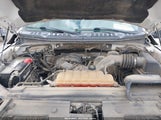 Ford F-150 Xl 1FTEW1E89HKE26455 снимка
