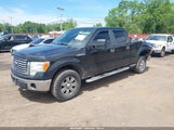 Ford F-150 Fx4/Harley-Davidson/King Ranch/Lariat/Platinum/Xl/Xlt 1FTFW1EV7AFC74328 fotografie