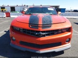 Miniaturka zdjęcia 6
