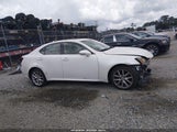 Lexus Is 250 JTHCF5C23C5055649 photo