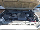 Toyota Tacoma Trd Off Road 3TMAZ5CN4PM212065 photo