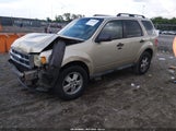 Ford Escape Xlt 1FMCU0D78AKB11342 снимка