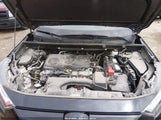 Toyota Rav4 Xle 2T3P1RFV4NC266614 снимка