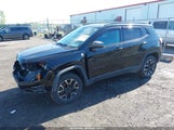 Jeep Compass Trailhawk 4X4 3C4NJDDB6LT163622 снимка