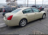 Nissan Maxima 3.5 Sl 1N4BA41E04C825196 снимка