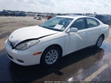 Lexus Es 330 JTHBA30G640020438 photo