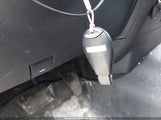 Miniaturka zdjęcia 11