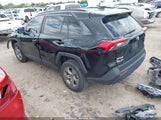 Toyota Rav4 Xle 2T3W1RFV0PC250067 photo