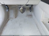 Miniaturka zdjęcia 11