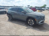 Miniaturka zdjęcia 1