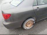 Miniaturka zdjęcia 6
