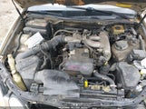 Miniaturka zdjęcia 10