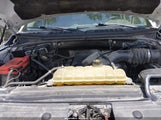 Ford F-150 Xlt 1FTEW1E54KFA66520 снимка