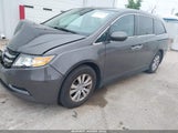 Honda Odyssey Ex-L 5FNRL5H66GB102449 fotografie