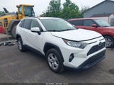 Toyota Rav4 Xle JTMP1RFV9KJ006315 снимка