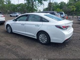 Hyundai Sonata Hybrid Se KMHE24L11GA028773 снимка