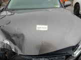 Toyota Camry Se Awd 4T1M11BKXLU006271 photo