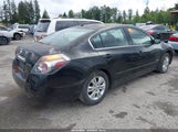Nissan Altima Hybrid 1N4CL2AP6AC105983 photo