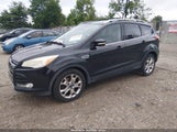 Ford Escape Titanium 1FMCU9JX2EUD29019 fotografie