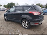 Ford Escape Titanium 1FMCU9JX2EUD29019 fotografie
