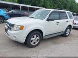 Ford Escape Xlt 1FMCU0D73AKB42594 fotografie