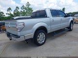 Ford F-150 Fx4/Harley-Davidson/King Ranch/Lariat/Platinum/Xl/Xlt 1FTFW1EV3AFD33049 fotografie