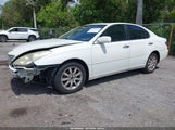 Lexus Es 330 JTHBA30G245037692 photo