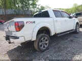 Ford F-150 Fx4 1FTFW1EF5CKD35436 fotografie