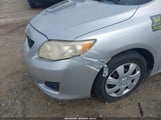 Toyota Corolla Le 2T1BU4EE8AC350623 снимка