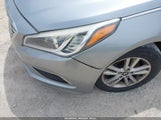 Hyundai Sonata 5NPE24AF3HH492757 снимка