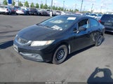 Honda Civic Lx 2HGFB2F59FH547356 fotografie