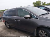 Honda Odyssey Ex-L 5FNRL5H68EB012586 снимка