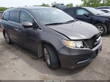 Honda Odyssey Ex-L 5FNRL5H68EB012586 снимка