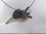 Miniaturka zdjęcia 11