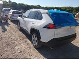 Toyota Rav4 Xle 2T3P1RFV7MC248641 fotografie