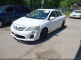 Toyota Corolla Le 2T1BU4EE7DC953079 fotografie