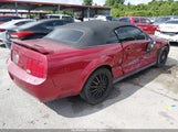 Ford Mustang 1ZVFT84N155219059 fotografie