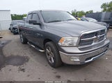 Dodge Ram  Slt/Sport/Trx 1D7RB1GT4AS206473 снимка