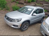 Volkswagen Tiguan Se WVGAV3AX0DW594722 fotografie