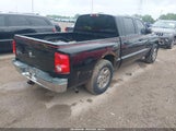 Dodge Dakota Slt 1D7HE48K96S539835 снимка