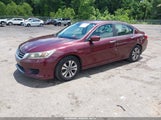 Honda Accord Lx 1HGCR2F30EA087935 photo
