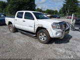 Toyota Tacoma Prerunner V6 3TMJU62N77M042824 photo