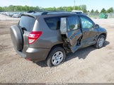 Toyota Rav4 2T3BF4DV2AW038380 fotografie