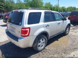 Ford Escape Xlt 1FMCU9DG6BKA57691 снимка