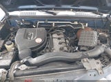 Nissan Xterra Xe 5N1DD28T31C534203 photo
