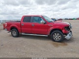 Ford F-150 Fx4/Harley-Davidson/King Ranch/Lariat/Platinum/Xl/Xlt 1FTFW1EV1AFC85132 photo